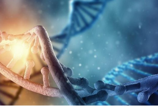 Analisis e Interpretación de resultados de Laboratorio Clínico