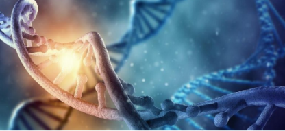 Analisis e Interpretación de resultados de Laboratorio Clínico
